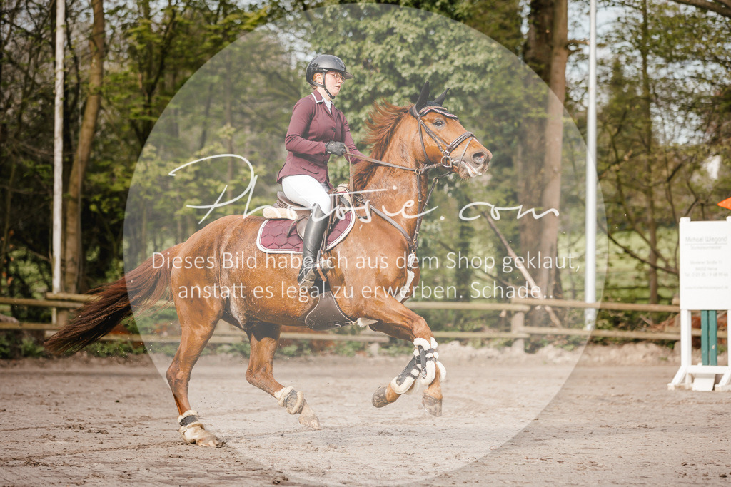 3I6A3222 | Stimmungsvolle Portraits und Reitsportfotografie im Ruhrgebiet und im Münsterland.

Pferdefotografie, Hundefotografie, Tierfotografie, Reportagen, Portraits von Tier und Mensch, Turnierfotografie in Bochum, Recklinghausen, Marl, Haltern am See, Dülmen.. - Realisiert mit Pictrs.com