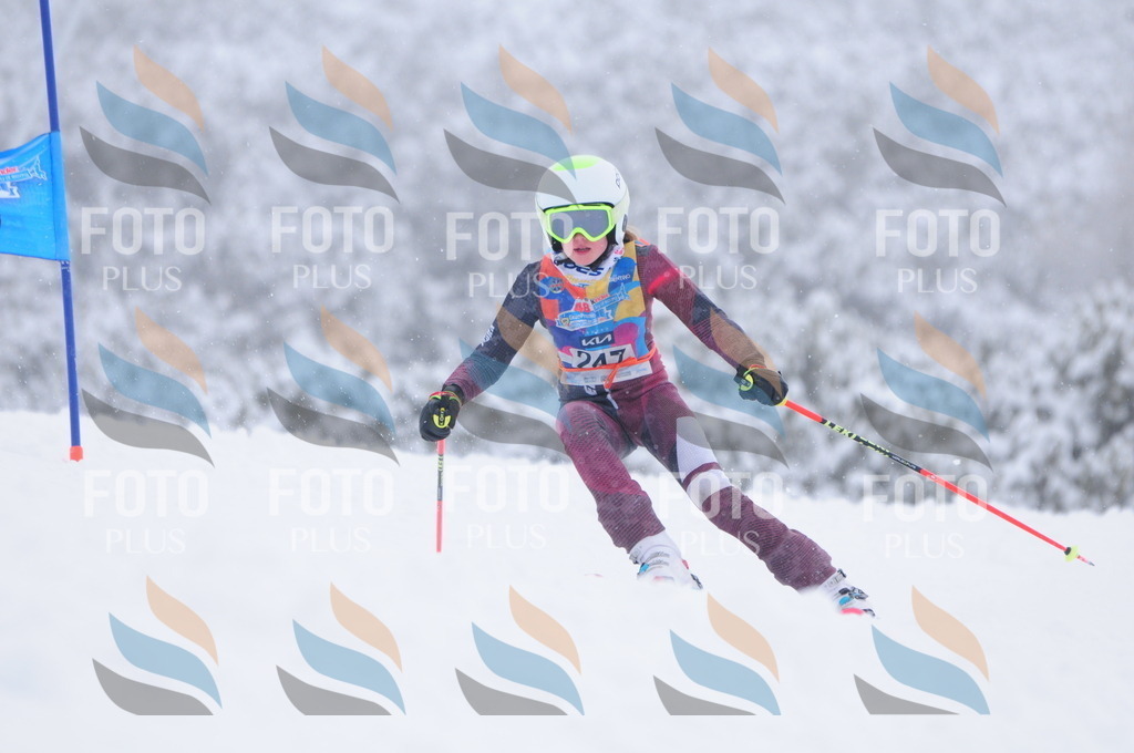 C2586 | holidayphoto