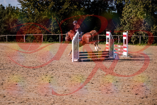 2026_10_03_Siefer-Hof_155744_Z81_77241790 | Professionelle Reitsport-, Turnier- und Eventfotografie von Robert Broda. Galerien mit ausgewählten und bearbeiteten Bildern direkt online ansehen und bestellen.