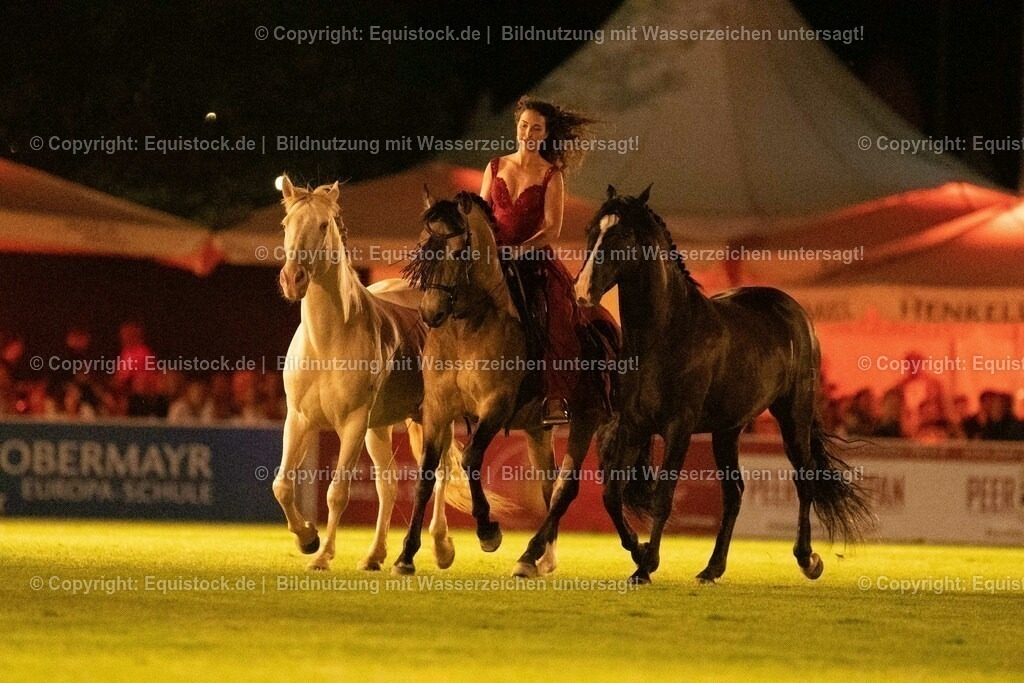 20230526_Pferdenacht_1489 | equistock