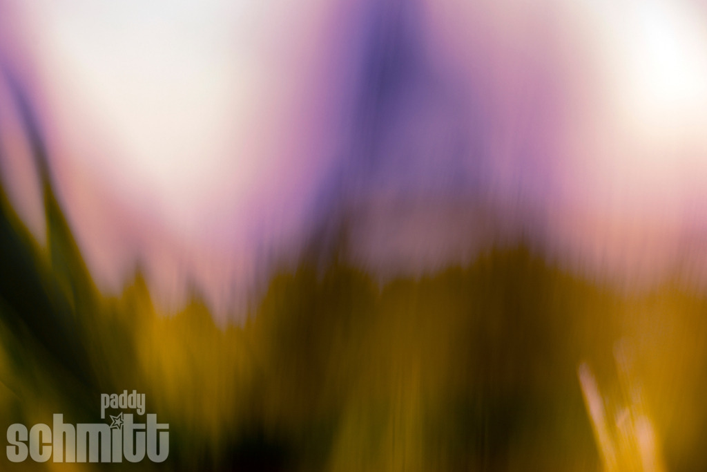 PS-Blur-2026-14 | Entdecke die größte Bildgalerie der Region mit Fotografien aus dem Allgäu, der Bodenseeregion, Oberschwaben, dem Donautal und der Schwäbischen Alb. Landschaften, Luftaufnahmen und Reisefotografie als Wandbild und Fotokunst. - Realisiert mit Pictrs.com