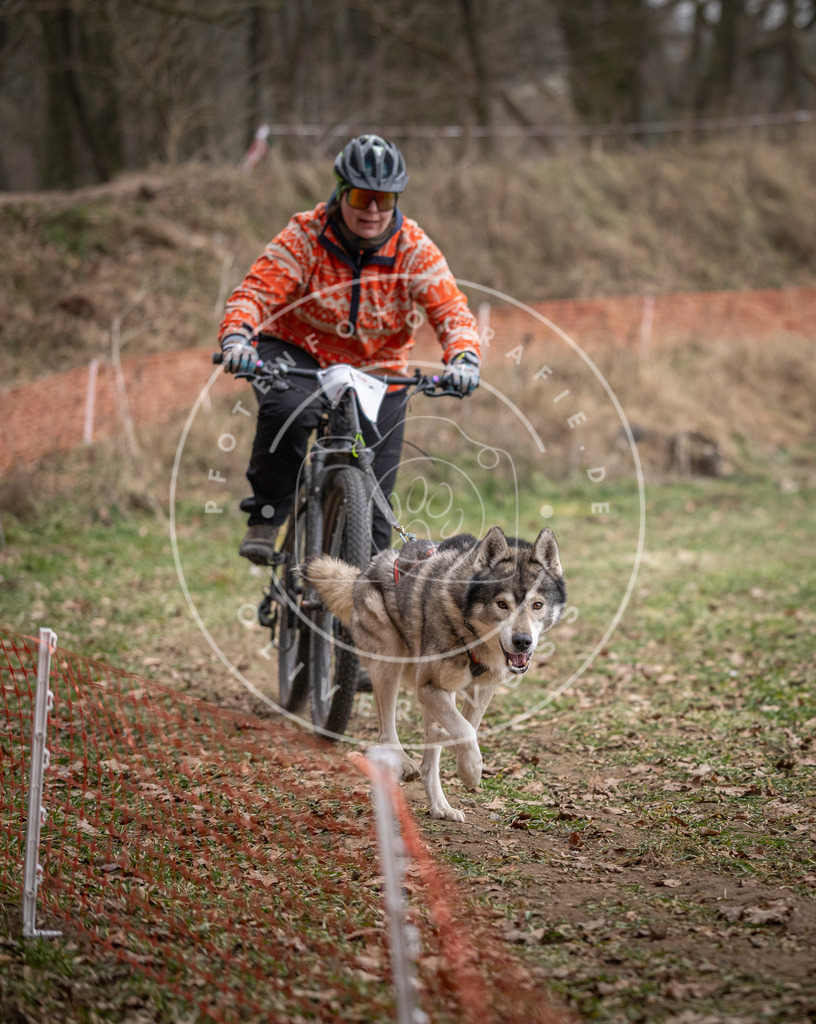 Pfotenfotografie_DV3A6309 | Hundefotografie, Tierfotograf, Pfotenfotografie, Fotoshooting Hund, Hunde Portrait, Hundesport, Hundeportraits, Heideshooting, Hunde, Sportfotograf, Hundefotograf, Turnierhundsport, THS,  - Realisiert mit Pictrs.com