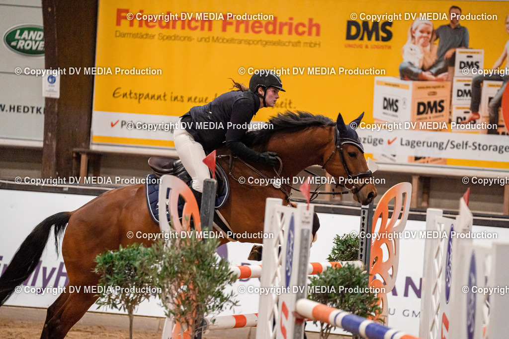 Kranichstein Tag 2-1131 | dv-media-shop - Realisiert mit Pictrs.com