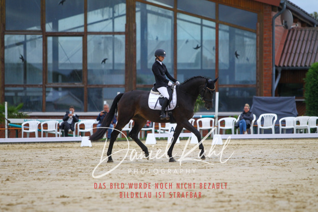 DKP43569 | Turniersportfotografie; Pferdefotografie; Dressurfotografie