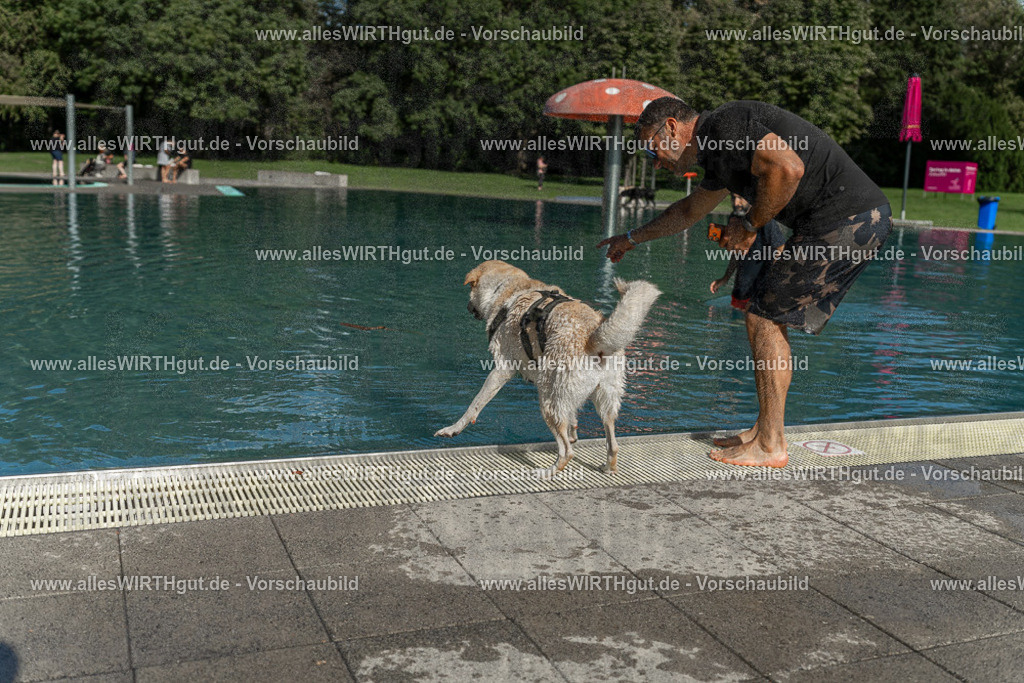 Hundeschwimmen_Volksbad_2026-allesWIRTHgut_Tierfotografie-2609061555-7R502031 | Professionelle Tierfotografie in Mönchengladbach von Daniel Wirth (allesWIRTHgut). Liebevolle & natürliche Bilder von Hunden & Katzen für unvergessliche Erinnerungen.