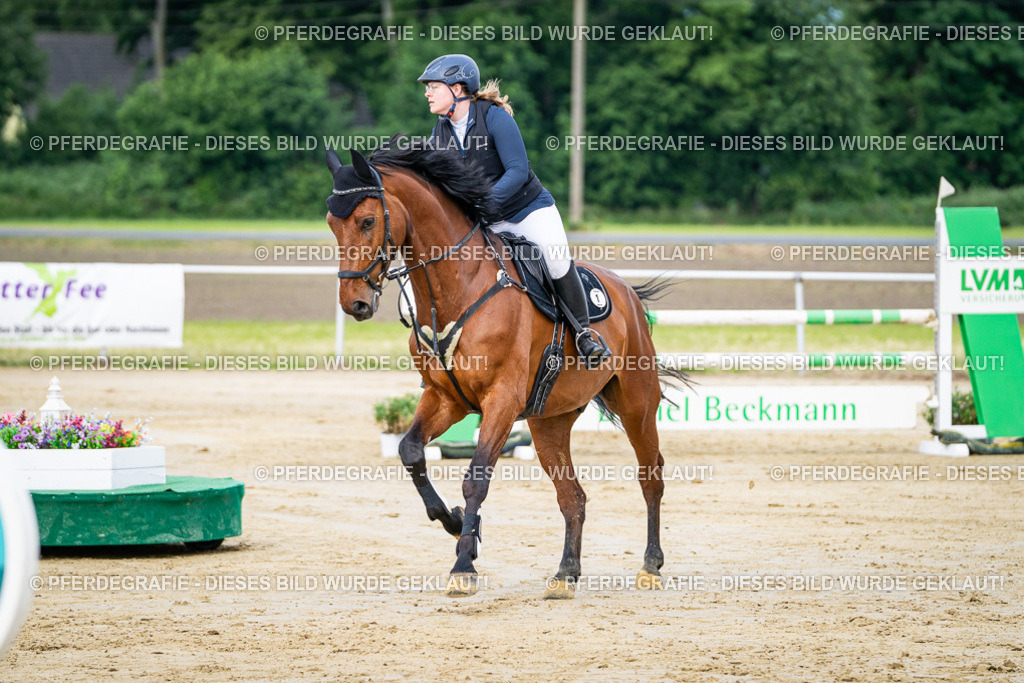 DSC03584 | Pferdegrafie