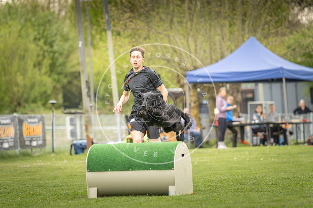 Pfotenfotografie_DV3A1236 | Hundefotografie, Tierfotograf, Pfotenfotografie, Fotoshooting Hund, Hunde Portrait, Hundesport, Hundeportraits, Heideshooting, Hunde, Sportfotograf, Hundefotograf, Turnierhundsport, THS,  - Realisiert mit Pictrs.com