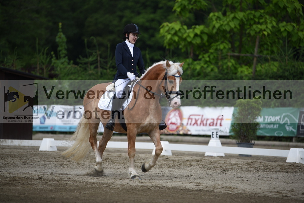DSC_8651 | equestrian-live-com