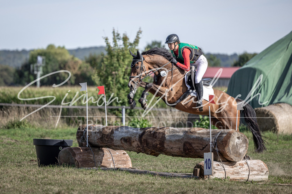 20250907-_3LI3007 | Tierfotografie Pferde, Hunde, Katzen, Haustiere.
Turnierfotografie Reitturniere, Reiten, Springreiten, Dressur in Hanau, dem Main-Kinzig-Kreis und dem Rhein-Main- Gebiet um Frankfurt