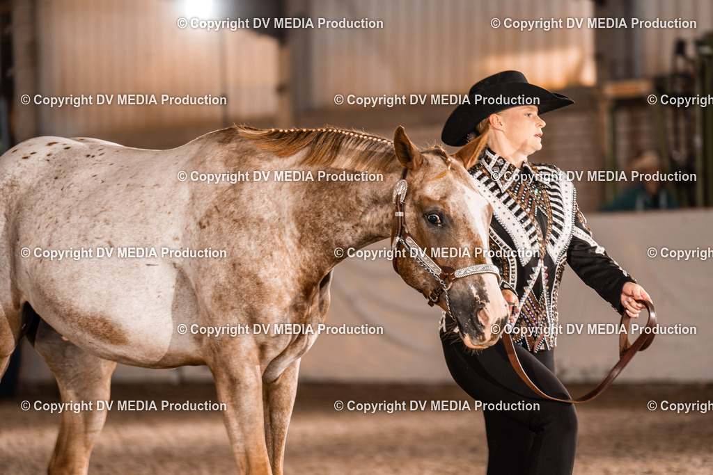 ZH100013 | dv-media-shop - Realisiert mit Pictrs.com