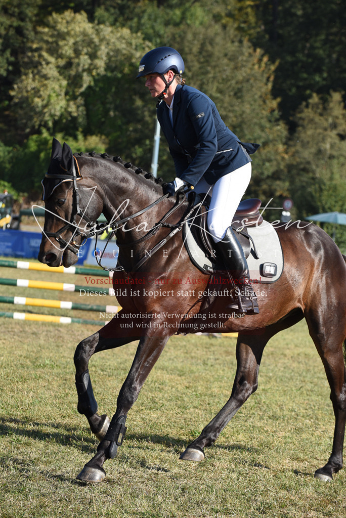 DSC_5184 | Pferde- und Turnierfotografie in Westsachsen. Pferdeportraits, Auftragszeichnungen und intuitive Kunst.