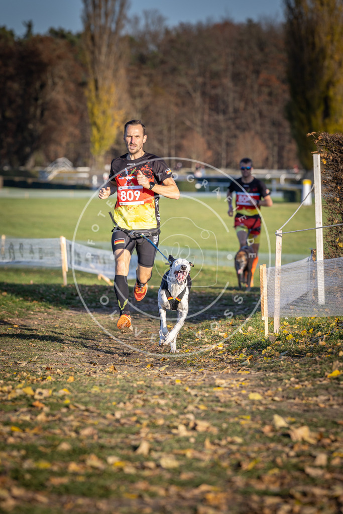 CaniXpix_DV3A2982 | Hundefotografie, Tierfotograf, Pfotenfotografie, Fotoshooting Hund, Hunde Portrait, Hundesport, Hundeportraits, Heideshooting, Hunde, Sportfotograf, Hundefotograf, Turnierhundsport, THS,  - Realisiert mit Pictrs.com