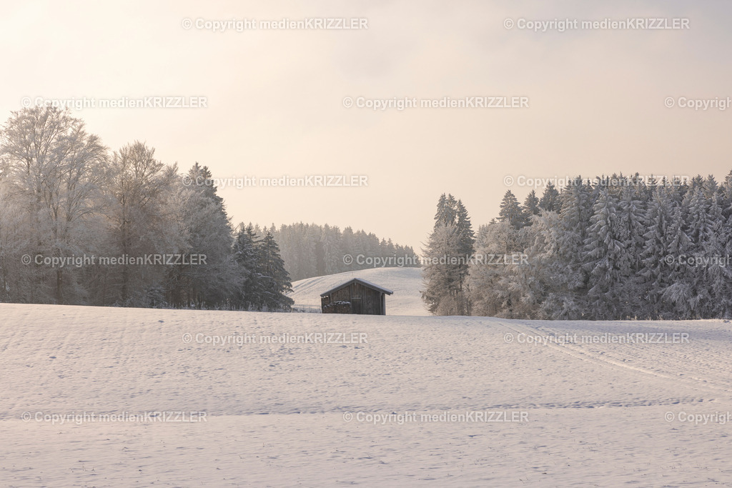 _J3A9652 | medienkrizzler - Realisiert mit Pictrs.com