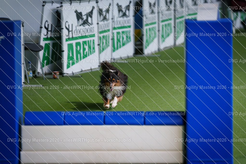 allesWIRTHgut_Tierfotografie-DVG_Agility_Masters_2026-11_30-7R506261 | Professionelle Tierfotografie in Mönchengladbach von Daniel Wirth (allesWIRTHgut). Liebevolle & natürliche Bilder von Hunden & Katzen für unvergessliche Erinnerungen.