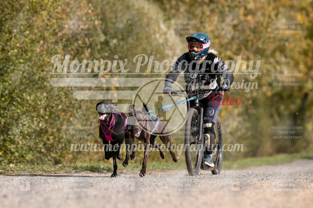 TSB_2023_E2_DS2-8 | PayLife