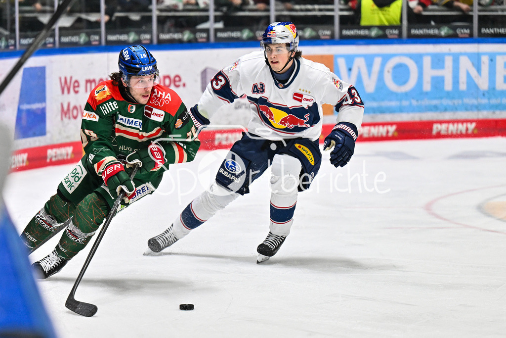 Augsburger Panther - EHC RB München | AUGSBURG, DEUTSCHLAND - 27. FEBRUAR: im Duell Riley DAMIANI (Augsburger Panther 19) und Phillip SINN (RB München 43) während dem Match zwischen den Augsburger Panthern und dem EHC RB München am 46. Spieltag der Penny DEL im Curt Frenzel Stadion