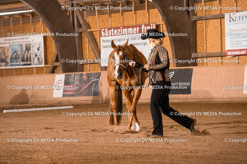 NE100013 | dv-media-shop - Realisiert mit Pictrs.com