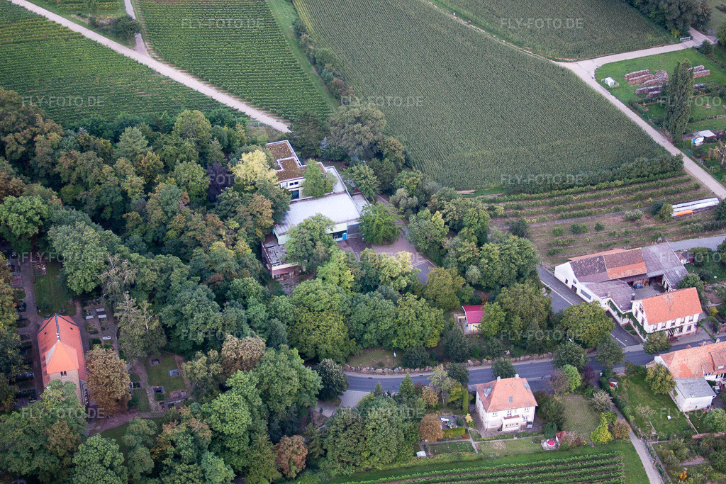Luftbild: Firmengelände der SEKA Schutzbelüftung GmbH mit Hallen, Firmengebäuden und Produktionsstätten im Ortsteil Wollmesheim in Landau im Bundesland Rheinland-Pfalz in Deutschland. Foto: IMG_44118.jpg vom 17.08.2011 durch Werner Riehm/FLY-FOTO.deWWW.SCHUTZBELUEFTUNG.DE