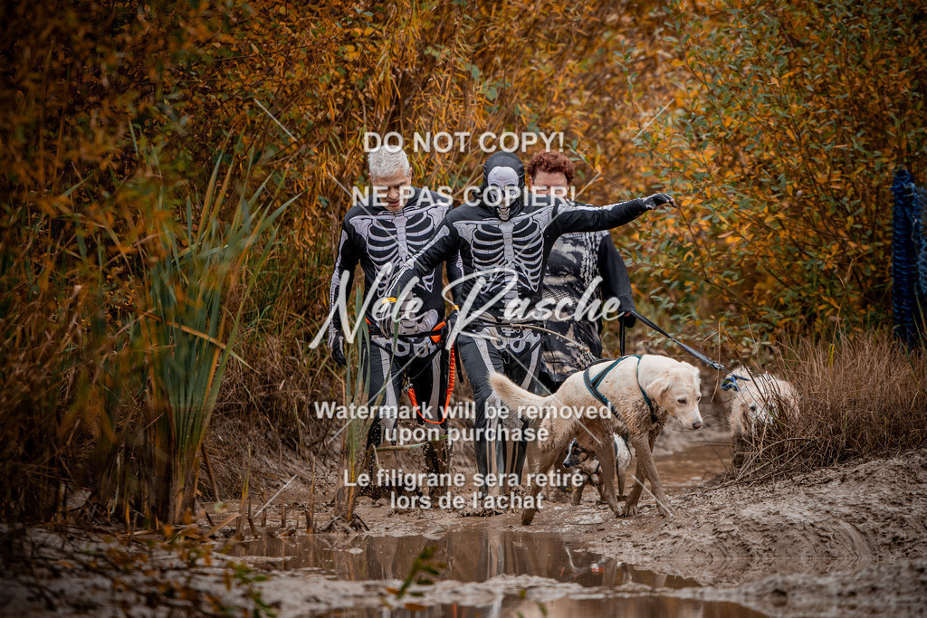 nelerasche_Creepy2025_Sa11-12_417 | nelerasche