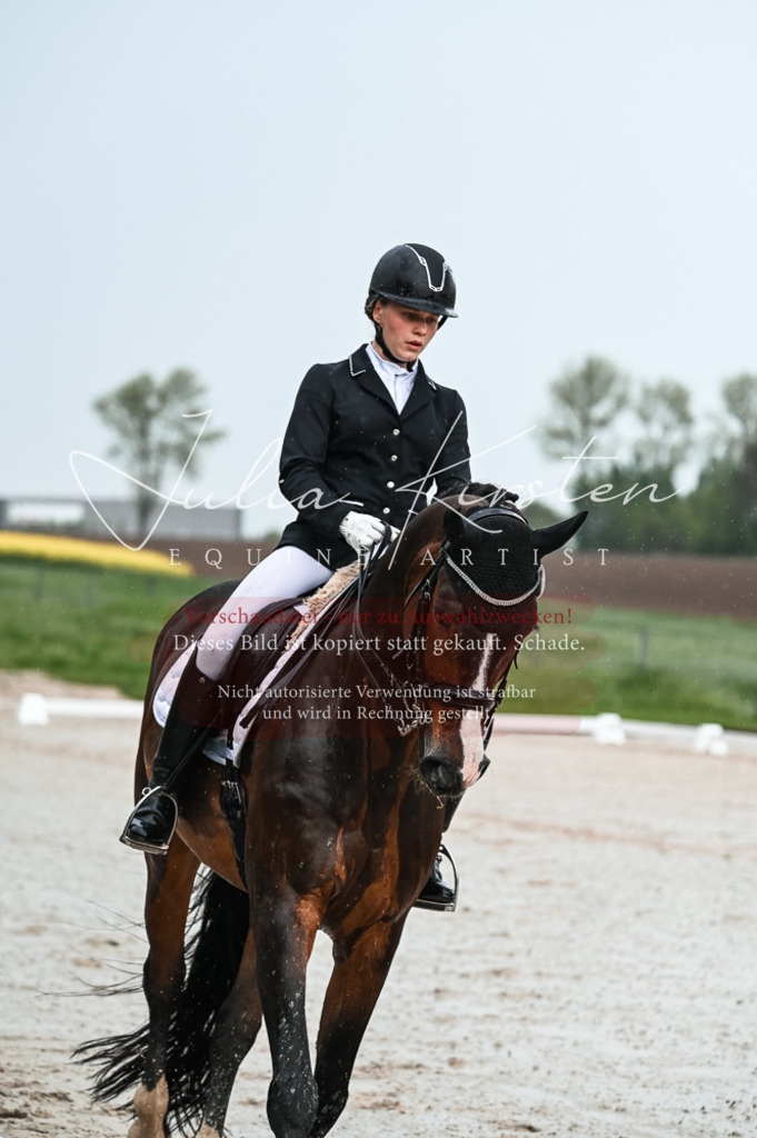 DSC_4139 | Pferde- und Turnierfotografie in Westsachsen. Pferdeportraits, Auftragszeichnungen und intuitive Kunst.