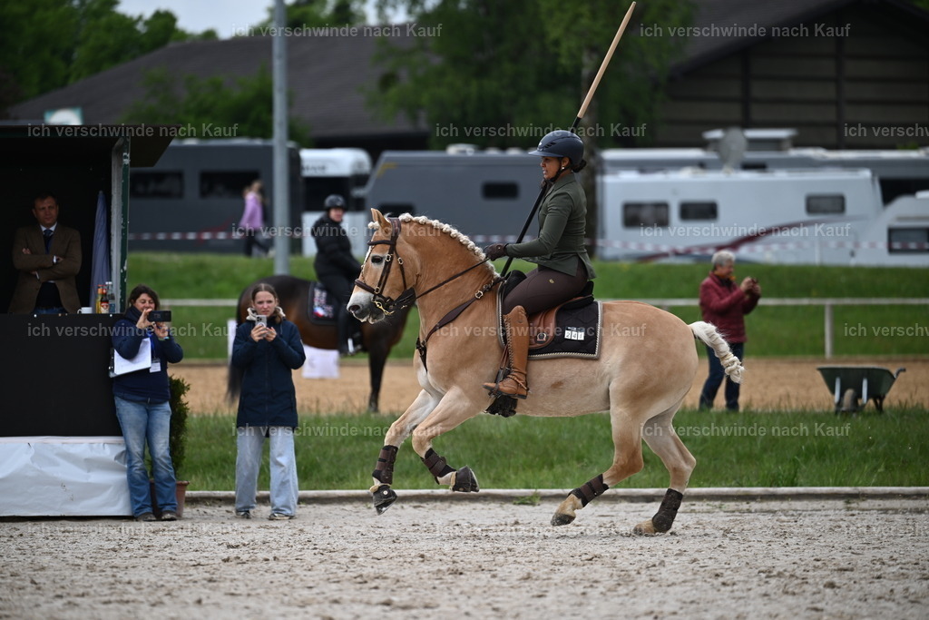 PI26_SP_Sara_Landvogt_226_4662.JPG | working equitationturnier fotograf videograf stoibphotography marixx film working equitation deutschland reitsport turnierfotografie eventfotografie equestrian events
