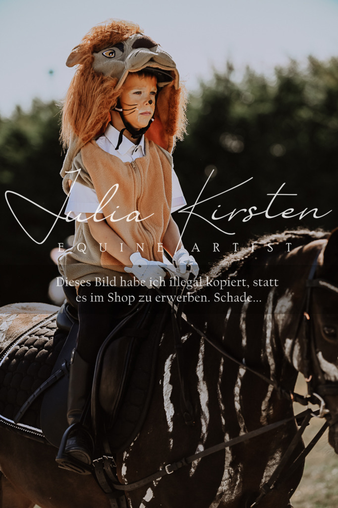DSC_9130 | Pferde- und Turnierfotografie in Westsachsen. Pferdeportraits, Auftragszeichnungen und intuitive Kunst.