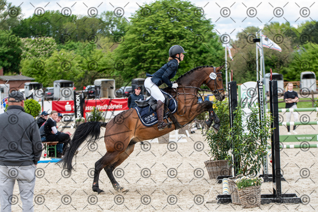 KPT_6319 | andre_photographic