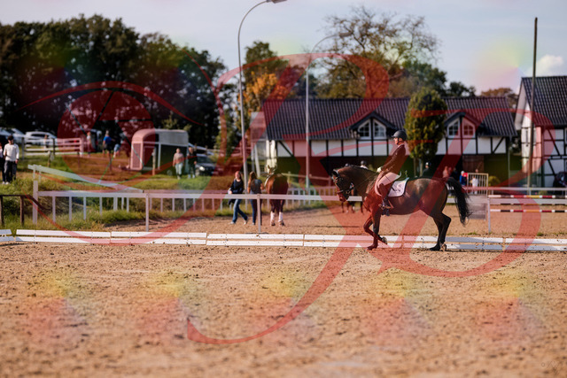 2026_10_03_Siefer-Hof_130850_Z81_61998340 | Professionelle Reitsport-, Turnier- und Eventfotografie von Robert Broda. Galerien mit ausgewählten und bearbeiteten Bildern direkt online ansehen und bestellen.