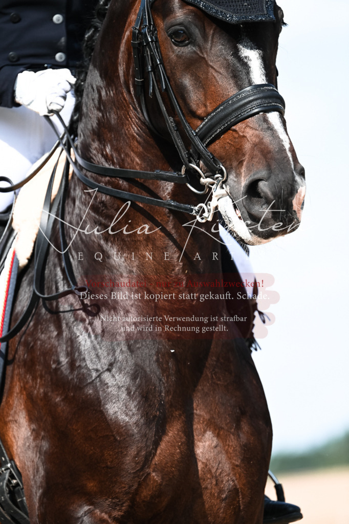 DSC_3382 | Pferde- und Turnierfotografie in Westsachsen. Pferdeportraits, Auftragszeichnungen und intuitive Kunst.