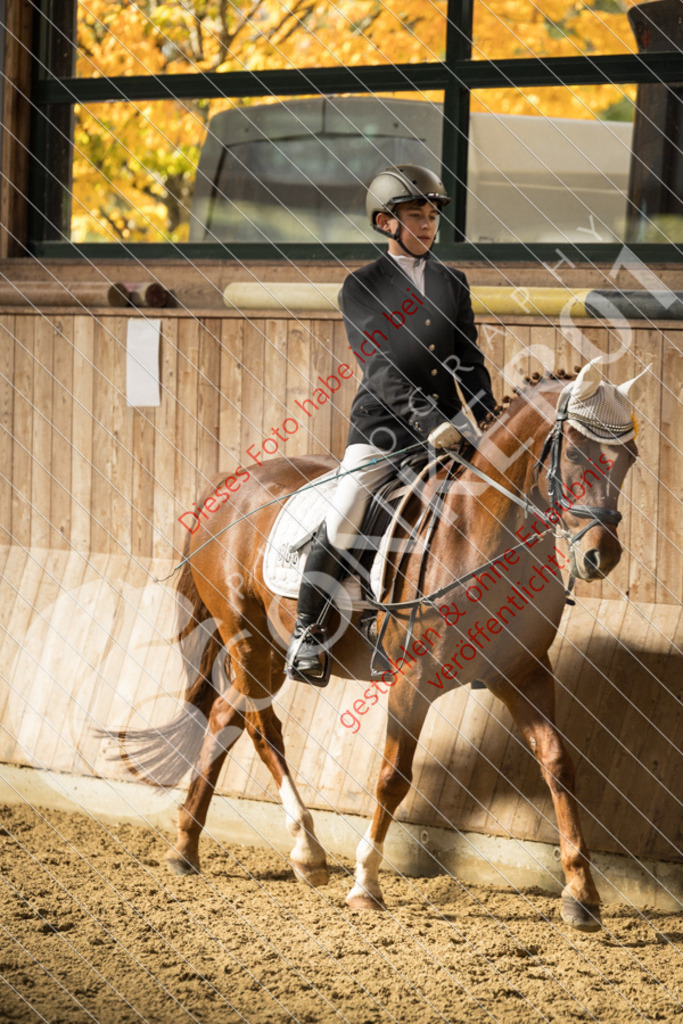 CON_6185 | Sport-, Event- und Tierfotos in Profiqualität. Einfach auswählen, bestellen und herunterladen. Dein Moment – perfekt festgehalten.