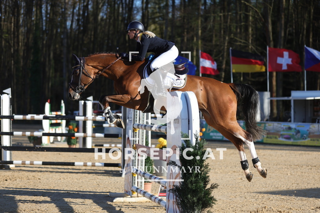 0P6A2152 | Willkommen bei Brunnmayr - Design & Fotografie – Ihrem Spezialisten für Reitturniere und Pferdeveranstaltungen in Oberösterreich, Salzburg und Bayern! Seit über 17 Jahren sind wir leidenschaftlich dabei.