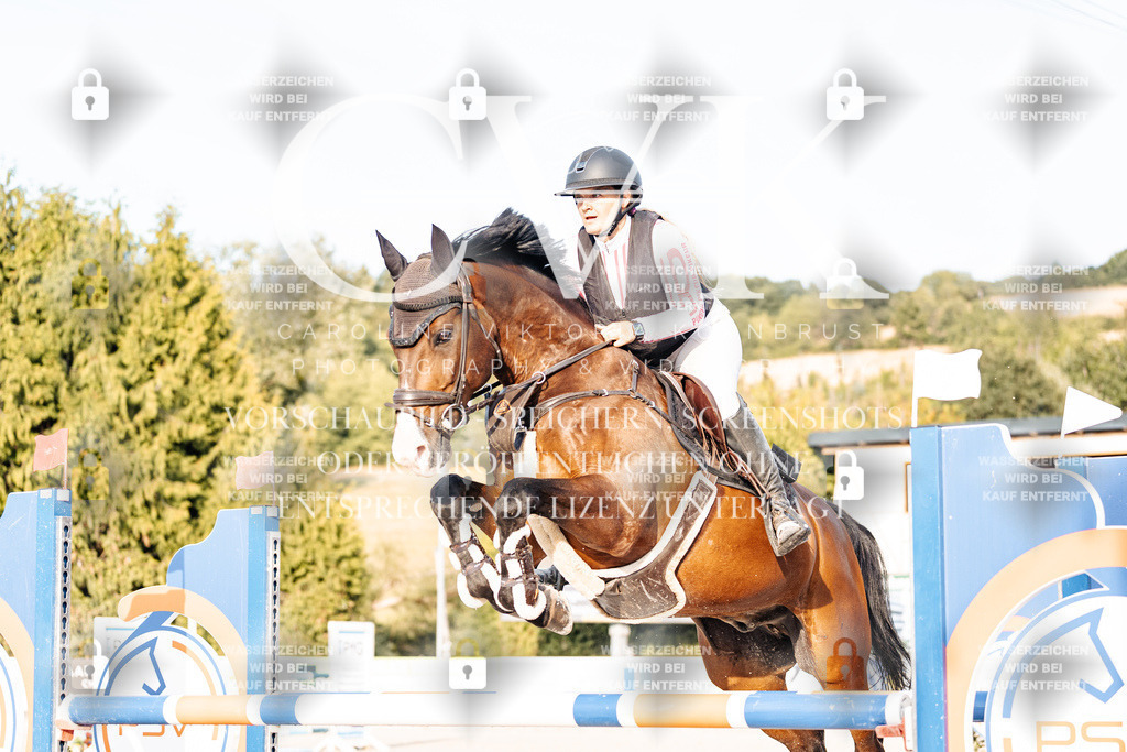 CK903440 | Turnierfotografie Pferdefotografie Trier Rheinland-Pfalz Pferdesport Reitsport Tierfotografie Sportfotografie Pferdevideo Pferdevideografie Equestrianvideography equestrianphotography  - Realisiert mit Pictrs.com