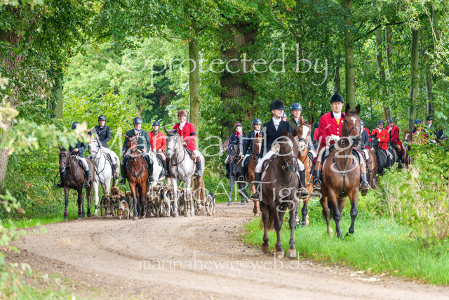 Jagd Perdoel 26 Sony-03903_MarinaHewig | Fotografie, FotoArt, PferdesportArt, Pferdesportfotografie, Landschaftsfotografie, Reisefotografie, Reise, Pferde - Realisiert mit Pictrs.com