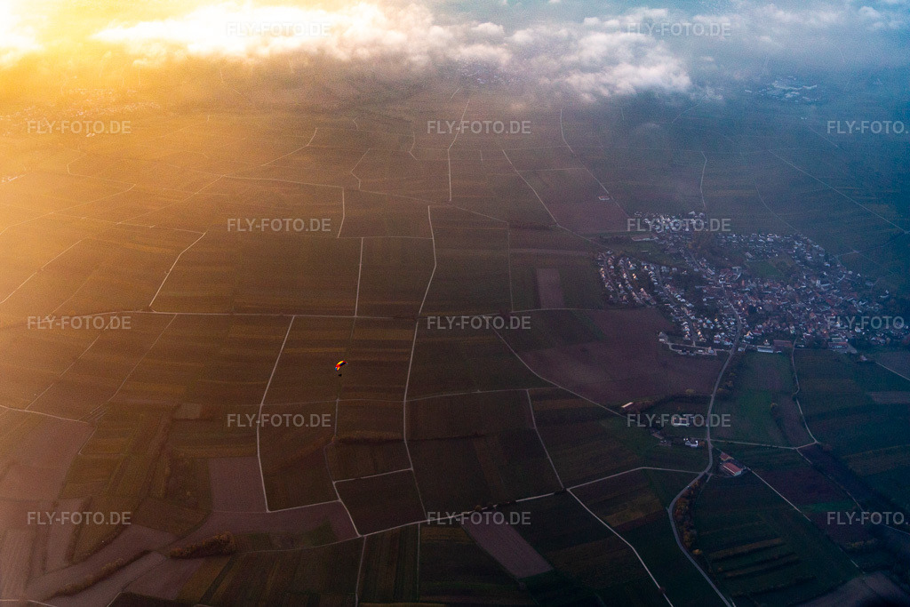 Luftbild: Weinberge im Novembernebel im Ortsteil Mörzheim in Landau im Bundesland Rheinland-Pfalz in Deutschland. Foto: IMG_144088.jpg vom 09.11.2024 durch Werner Riehm/FLY-FOTO.de
