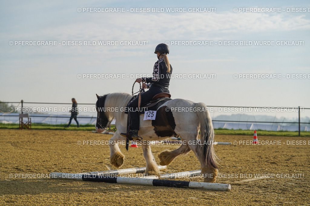 DSC00186 | Pferdegrafie