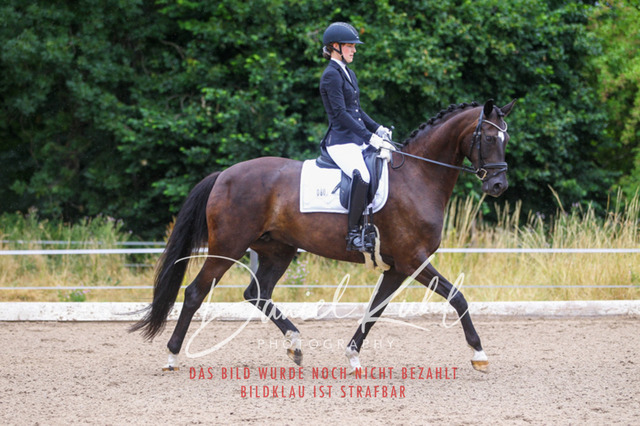 DKP47100 | Turniersportfotografie; Pferdefotografie; Dressurfotografie