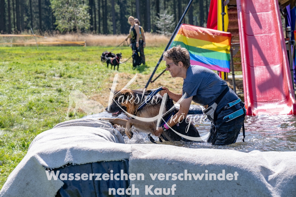 1251_ZZ93873 | kk-dogfotos