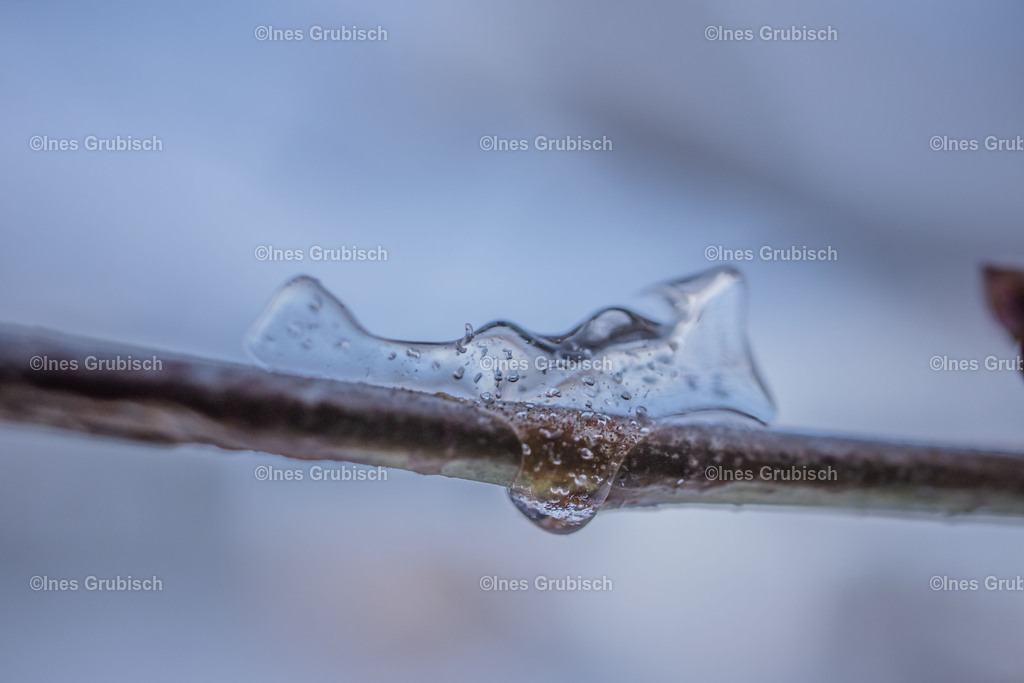 Wenn das Wasser erstarrt. | Lila Lubbenbomm - Artwork by Ines Grubisch - Realisiert mit Pictrs.com