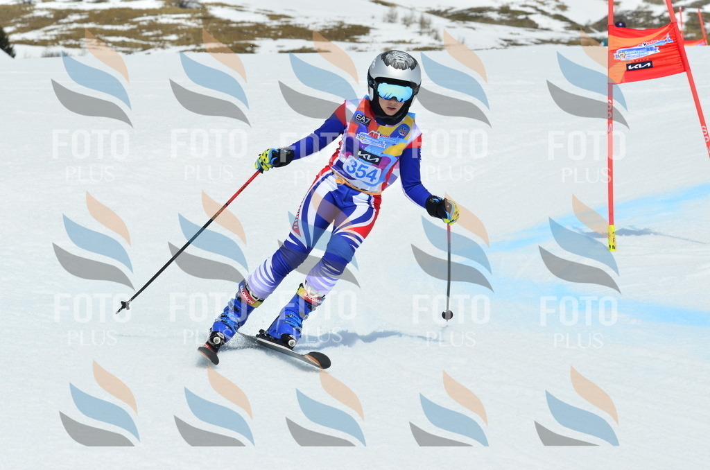 _ELE2736 | holidayphoto