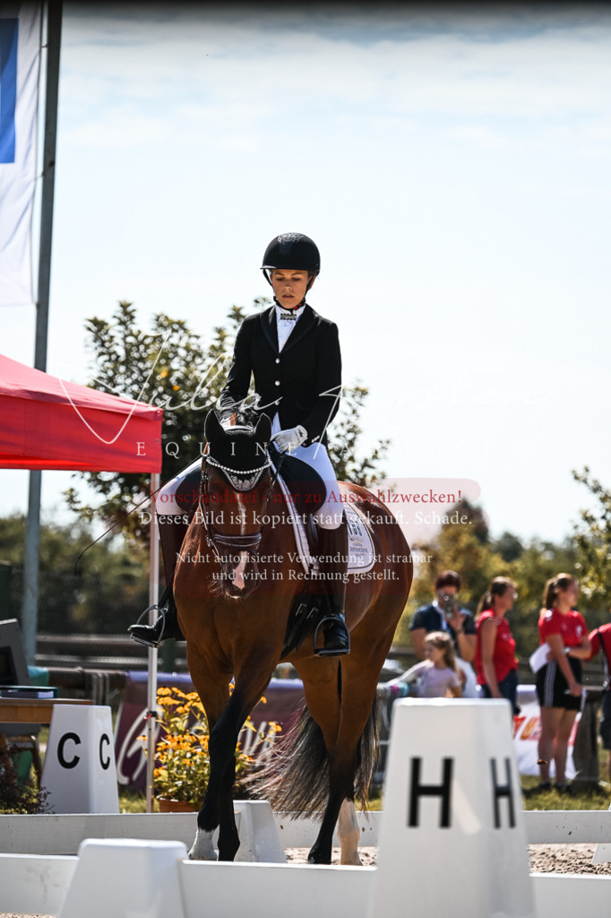 DSC_5048 | Pferde- und Turnierfotografie in Westsachsen. Pferdeportraits, Auftragszeichnungen und intuitive Kunst.