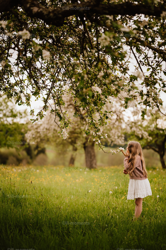 Frühlingsduft | Ein Mädchen riecht verträumt an den zarten Blüten eines Apfelbaums, umgeben von einer blühenden Wiese. Das Foto „Frühlingsduft“ fängt den Zauber des Frühlings ein – ideal als Kunstdruck voller Leichtigkeit und Naturgefühl. - Realisiert mit Pictrs.com