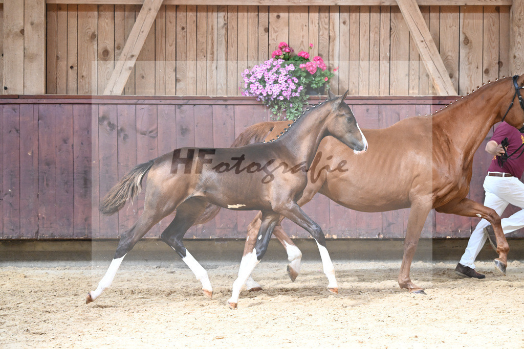 Kat-Nr. 1 HF Secret_Schindele_26230474 | hf-fotografie - Realisiert mit Pictrs.com