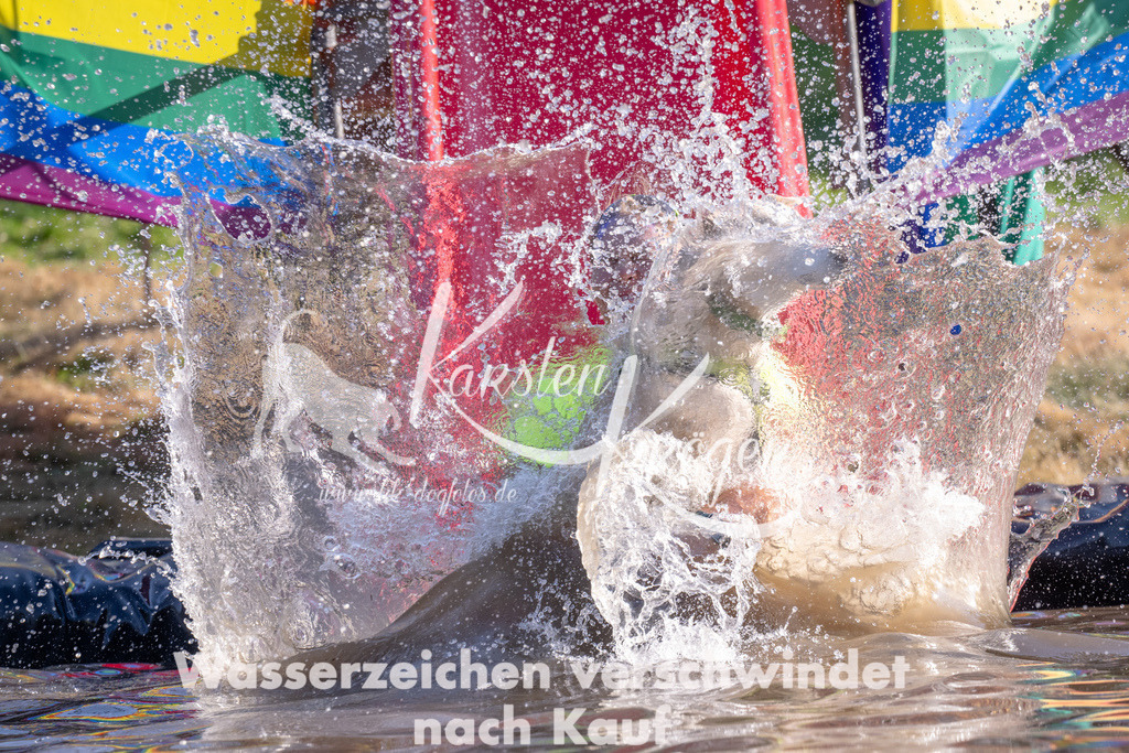 1722_ZZ90063 | kk-dogfotos