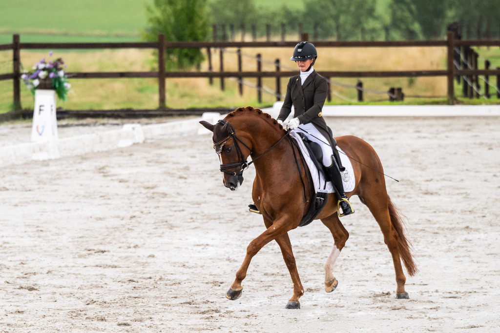 Luxembourg Dressage Championship 2025 - Senior League A (Elite) | Luxembourg Dressage Championship 2025 - Mandy Zimmer on Dragon Welt - Realisiert mit Pictrs.com