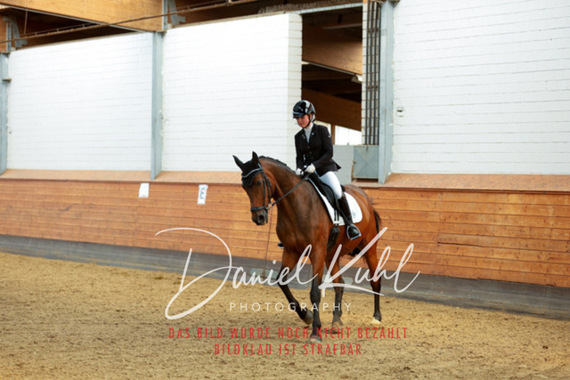 _62_7156 | Turniersportfotografie; Pferdefotografie; Dressurfotografie