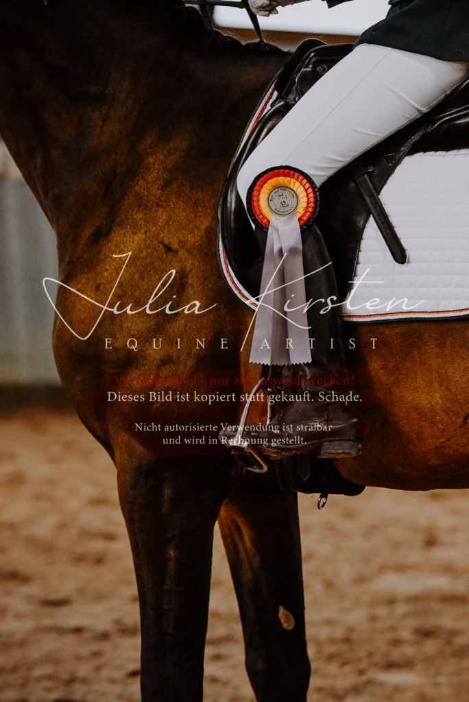 DSC_7740 | Pferde- und Turnierfotografie in Westsachsen. Pferdeportraits, Auftragszeichnungen und intuitive Kunst.
