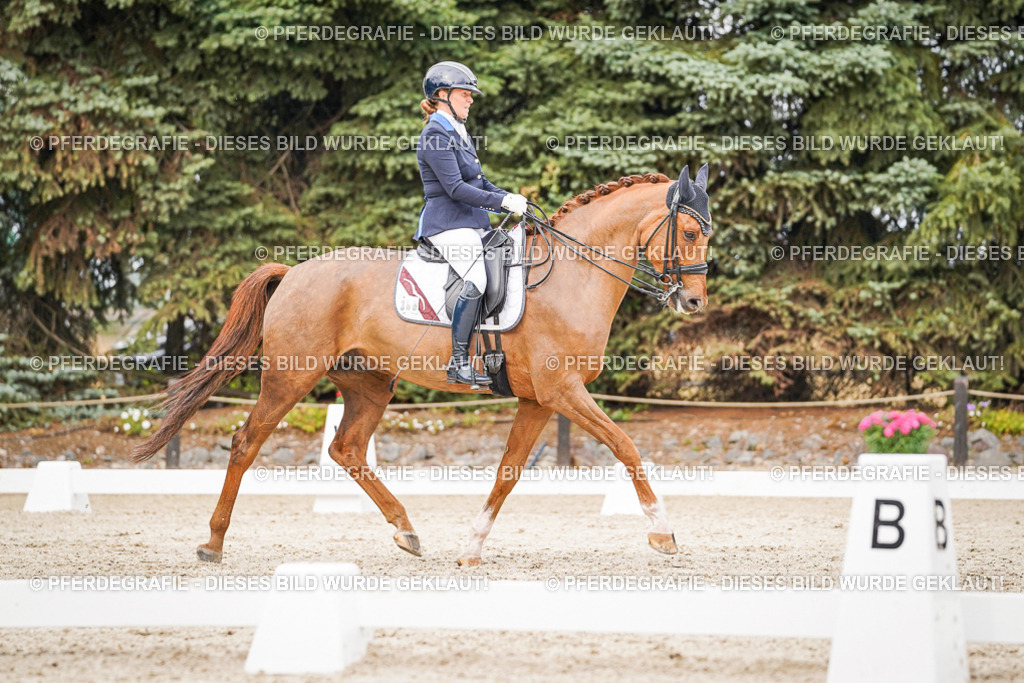 DSC07538 | Pferdegrafie