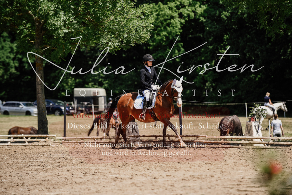 DSC_1960 | Pferde- und Turnierfotografie in Westsachsen. Pferdeportraits, Auftragszeichnungen und intuitive Kunst.