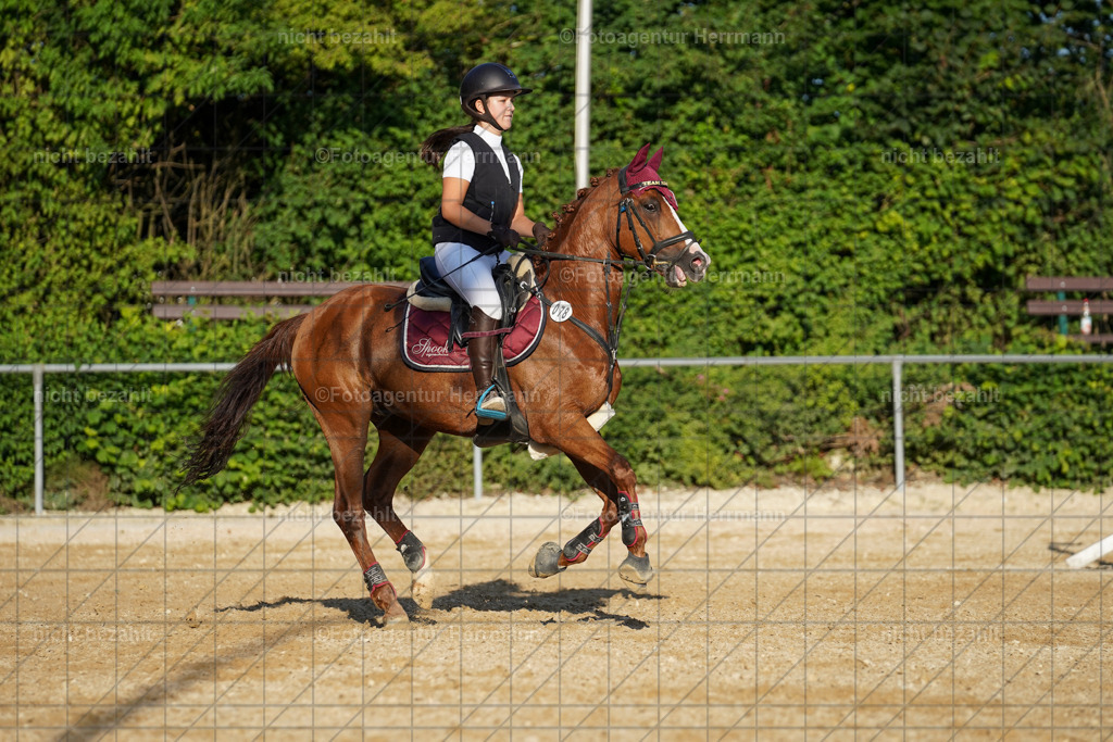 20240824-FAH08763 | Thierhaupten 2024, Bayerisches Landesponyturnier, Turnierbilder, Ponybilder, Turnierfotografen Bayern, Fotoagentur Herrmann
