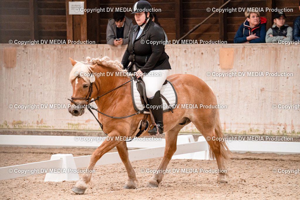 Dressur Tag 2-529 | dv-media-shop - Realisiert mit Pictrs.com